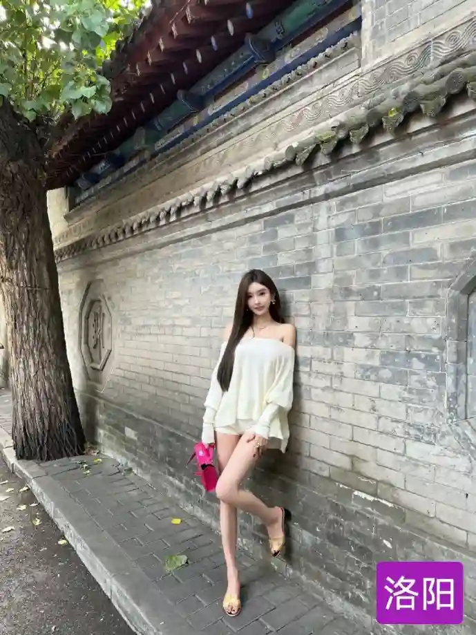 算法导论全球搜索热力图